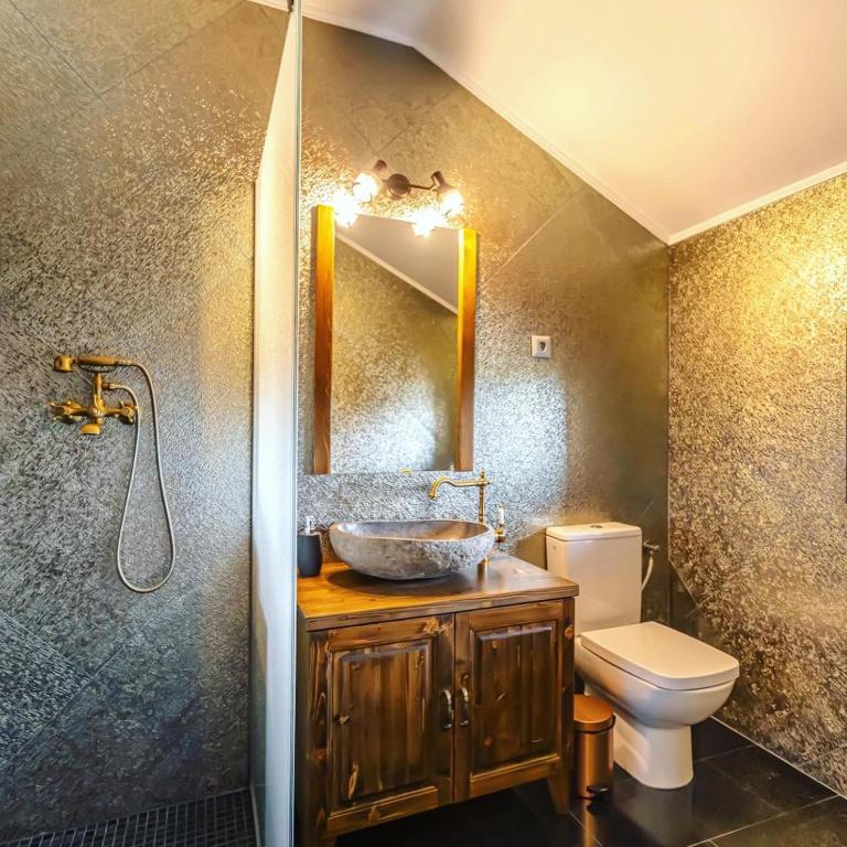 Transilvania Mansion - Holiday Home