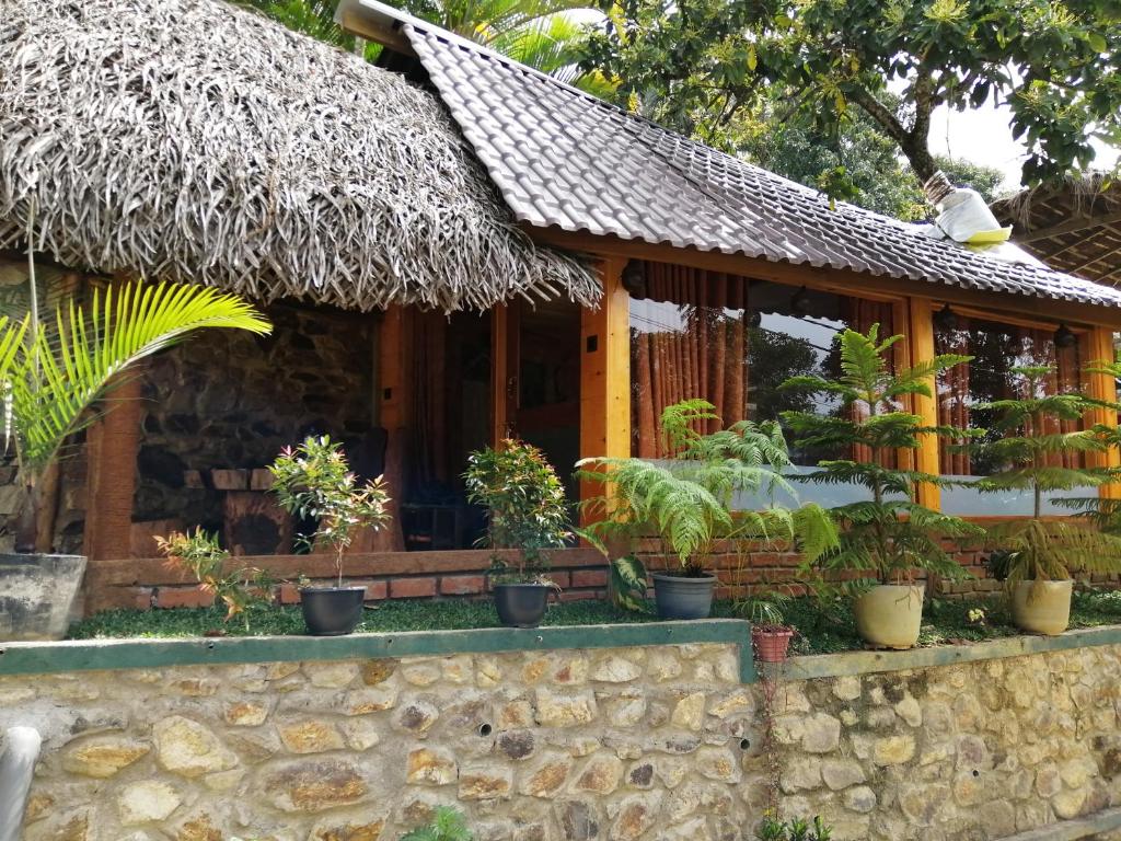 a small house with plants in front of it at Mc Queen Homestay in Ella