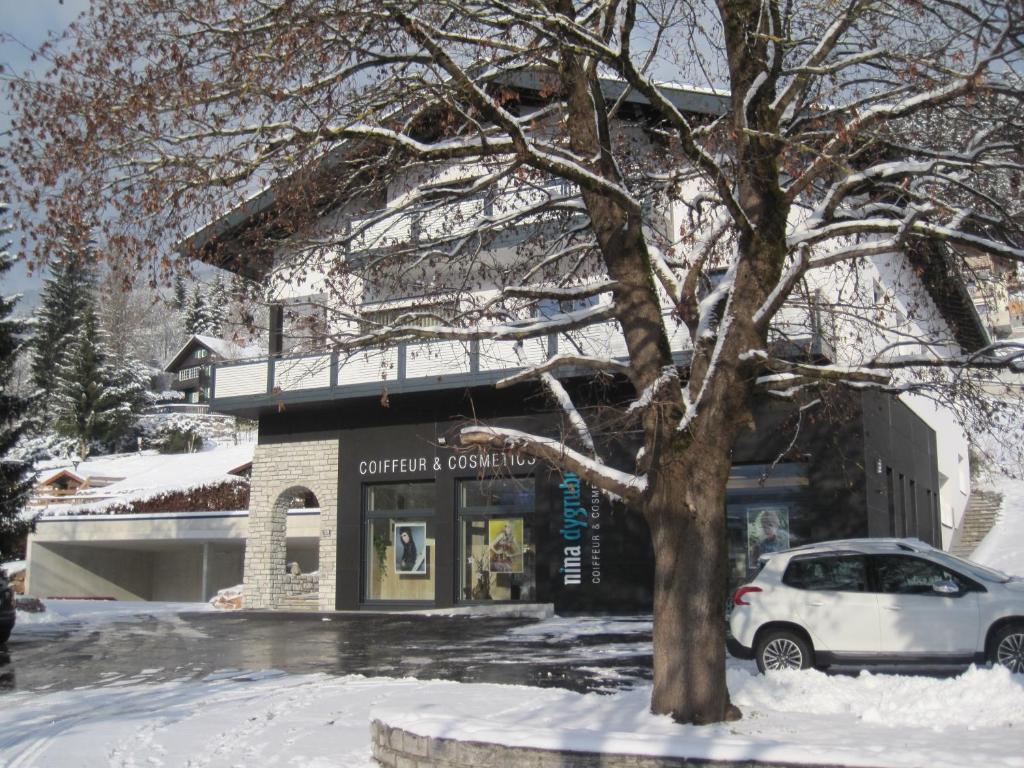 Appartementhaus Winter v zimě