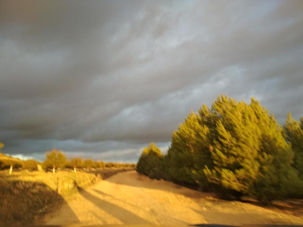 uma estrada de terra com árvores e um céu nublado em Casa Rural La Galana Albacete em Chinchilla de Monte Aragón