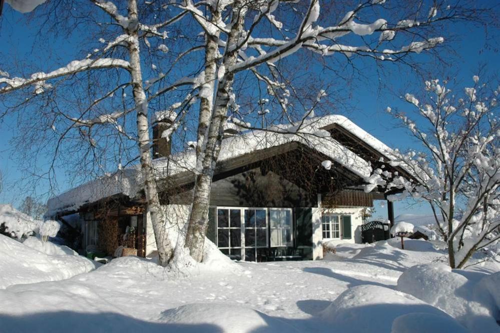 a house covered in snow with trees in the foreground at Ferienhaus Nest in Blaichach