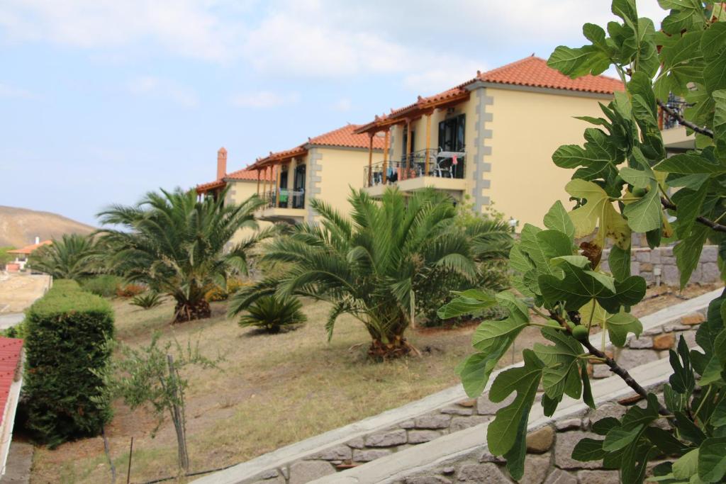 a house with palm trees in front of it at Studios Edem in Agios Ioannis Kaspaka