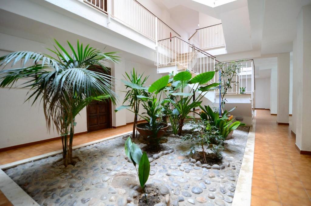 Vonkajšia záhrada v ubytovaní JARDINS DEL MAR 38