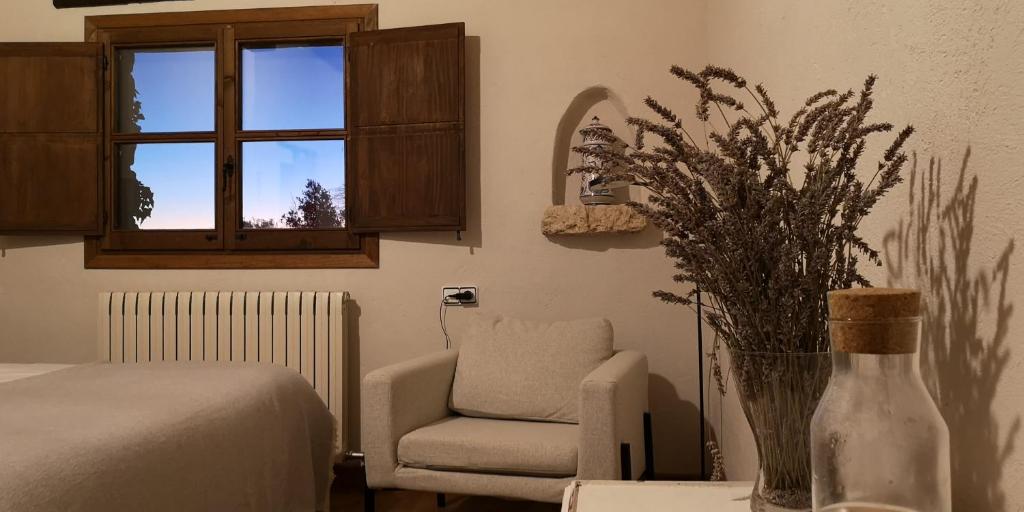 Mas de l'Arlequi - 7