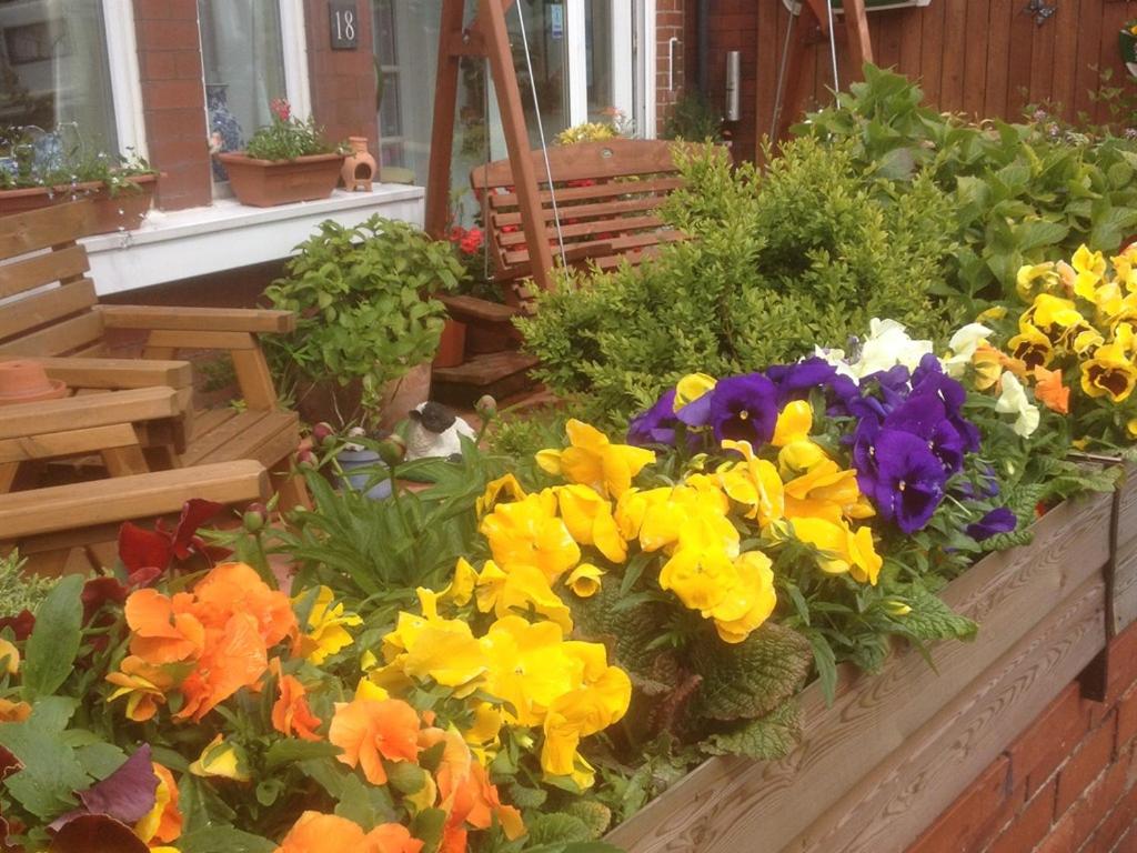 Una exhibición de flores coloridas en un jardín. en The Broadfield, en Bridlington