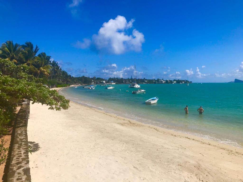 Bay Complex (The) - отзывы и видео