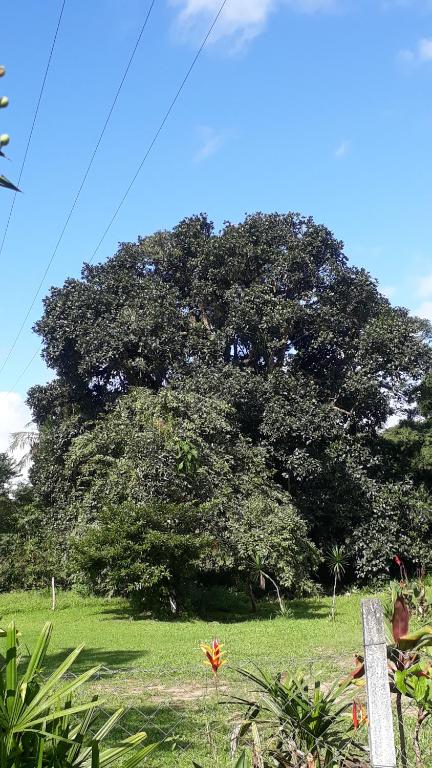  Pousada do colono Morretes