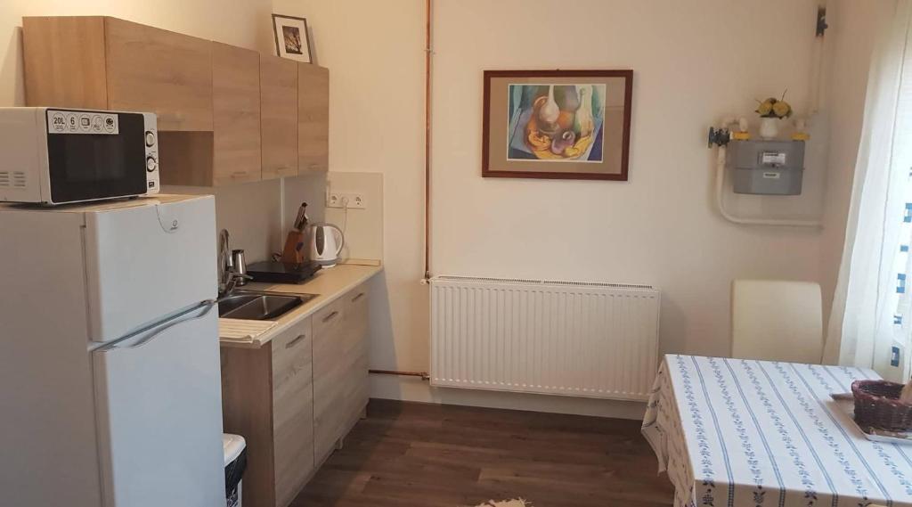 Kuchyň nebo kuchyňský kout v ubytování Kovács Vendégház