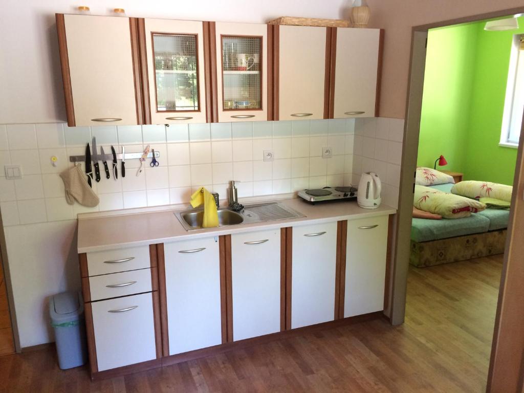 Kuchnia lub aneks kuchenny w obiekcie Apartmán Orbit