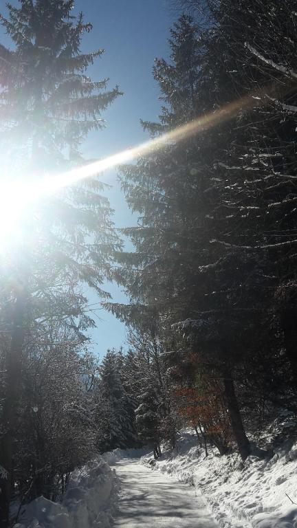 Sonnenplatzl-adults only during the winter