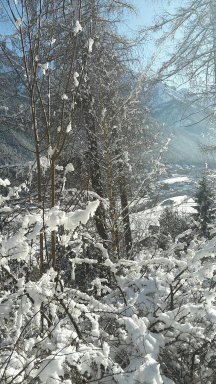 Sonnenplatzl-adults only during the winter
