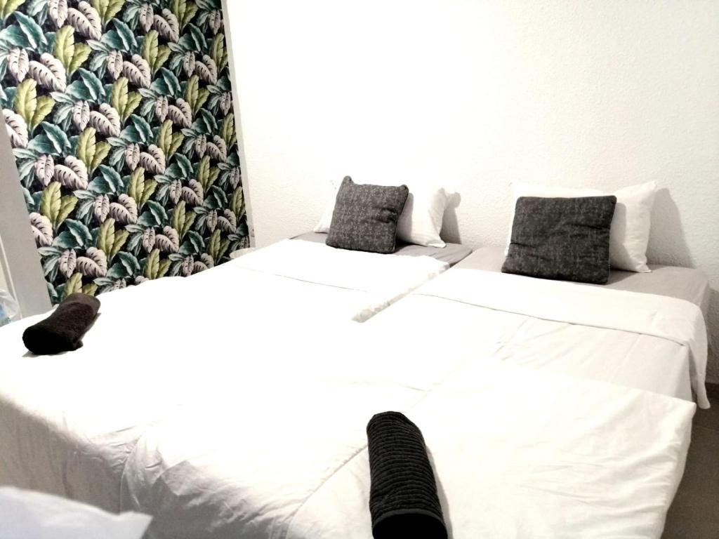 ROOMS IN THE HEART OF ALICANTE!, Alicante – Bijgewerkte ...