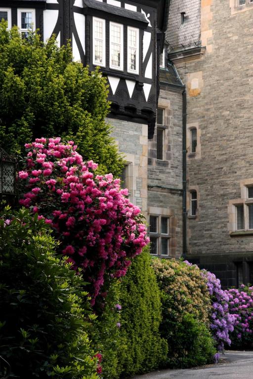 Zahrada ubytování Schlosshotel Kronberg - Hotel Frankfurt