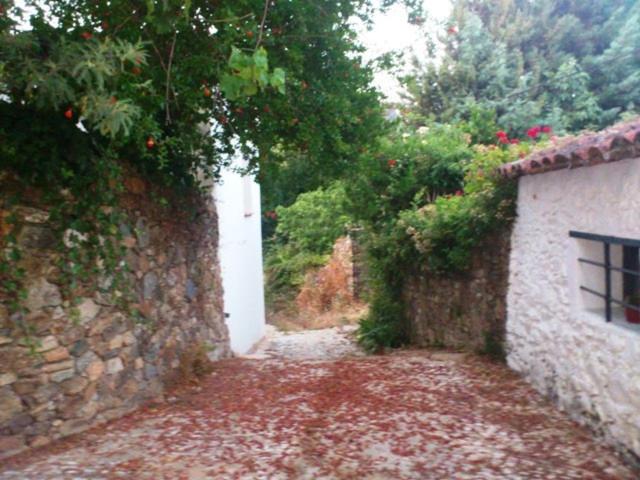 Fotografia z galérie ubytovania Casa con encanto en Alájar v destinácii Alájar