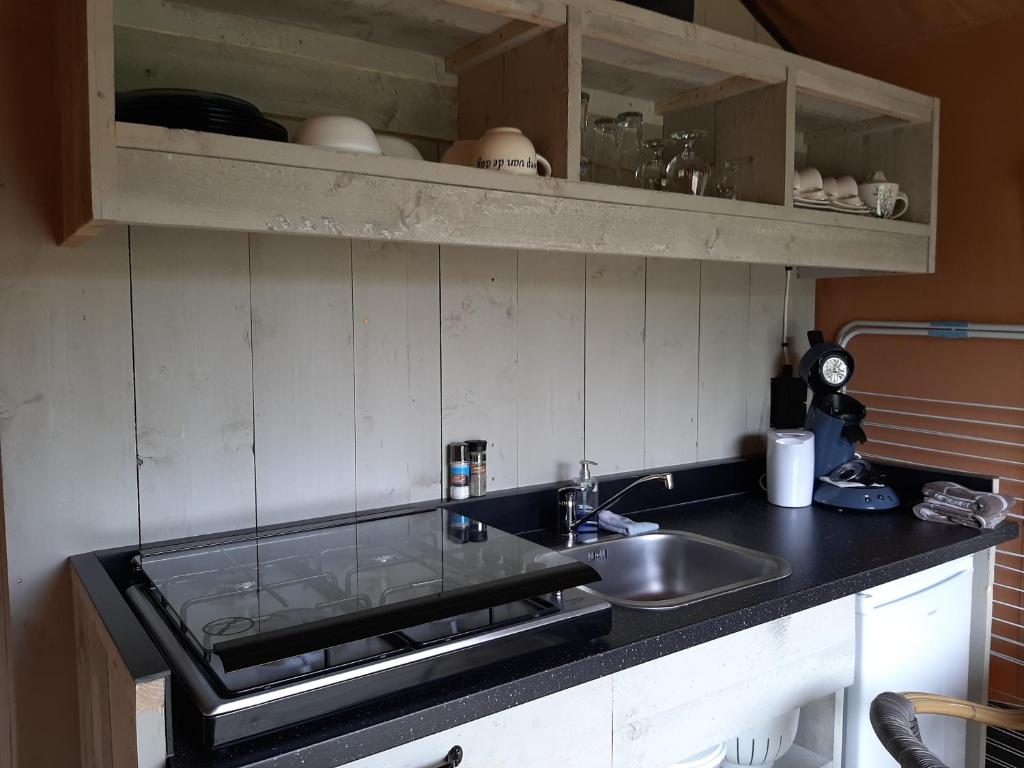 Kuchyň nebo kuchyňský kout v ubytování Glamping tent Romala