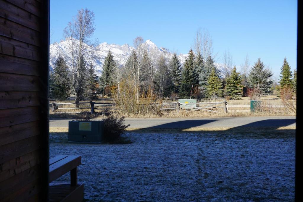 uma vista para um parque com montanhas nevadas ao fundo em 2-3 bedroom /2 bath em Jackson