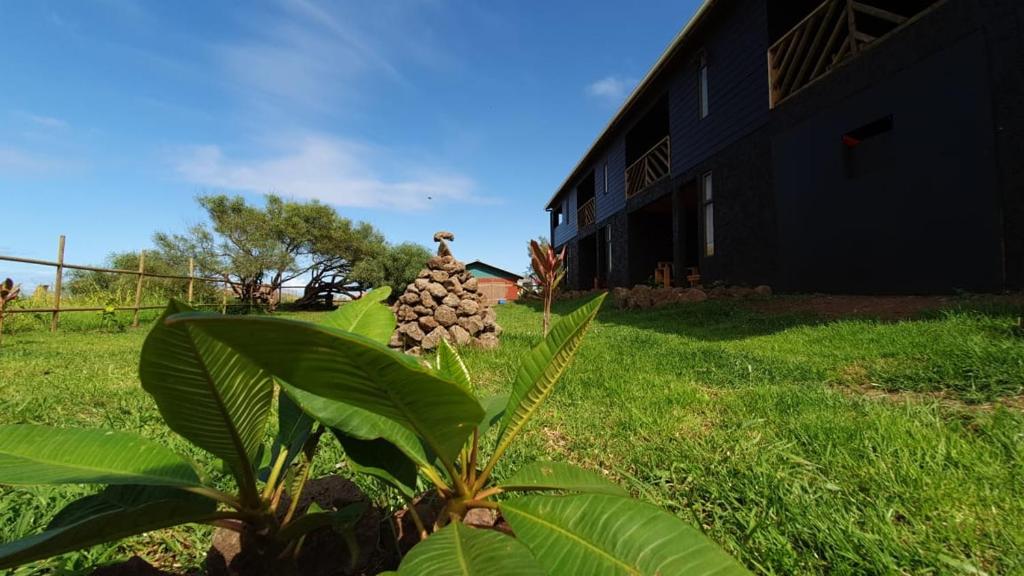Un jardín fuera de Apartamentos Tupuna Lodge