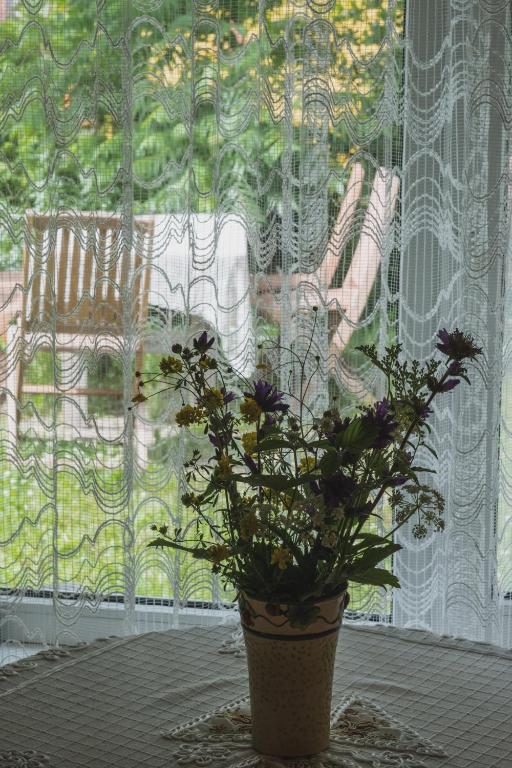 Zahrada ubytování Kihnu Kuraga Homestay