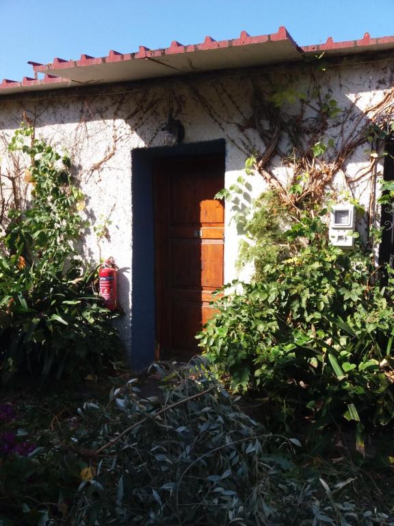 Vonkajšia záhrada v ubytovaní Tasos Cottages