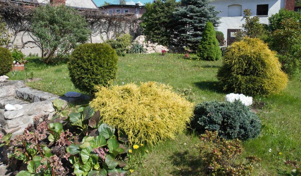 Vonkajšia záhrada v ubytovaní Domek u Domny