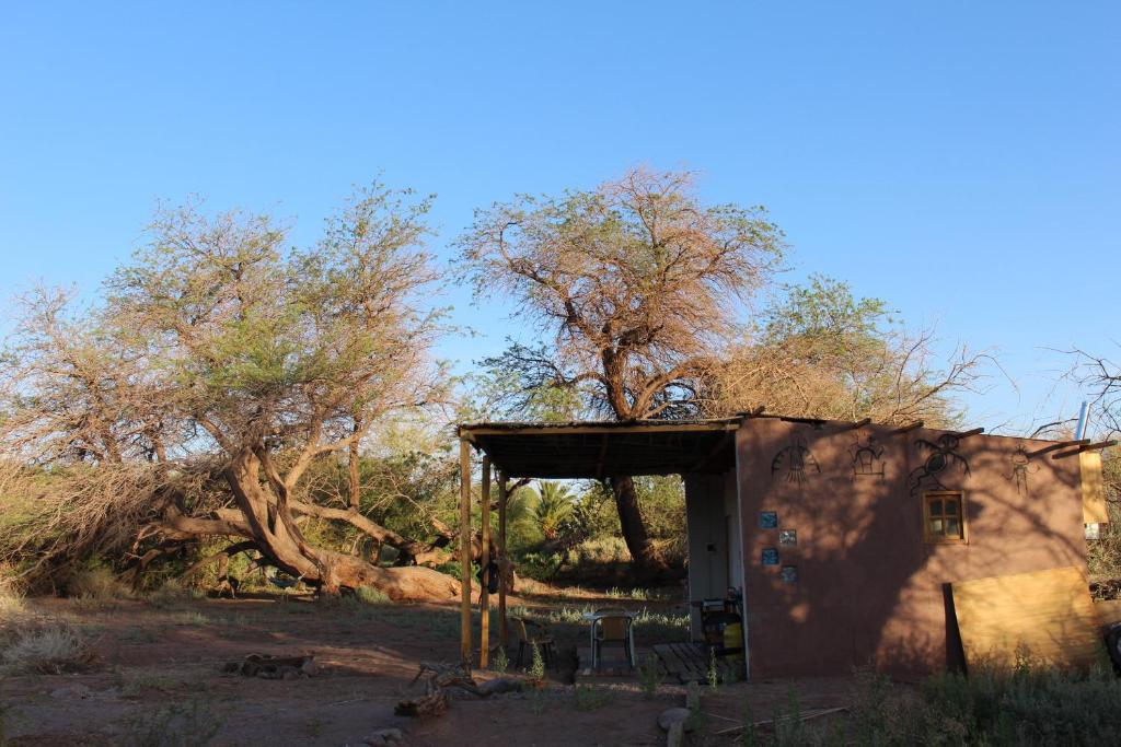 ein kleines Gebäude inmitten eines Feldes mit Bäumen in der Unterkunft Cabaña Nachitor in San Pedro de Atacama