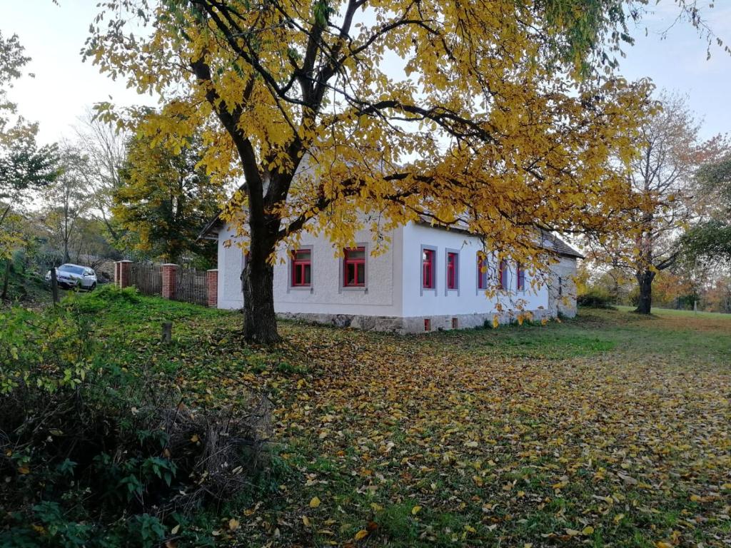 una casa blanca con ventanas rojas y un árbol en chalupa Dlouhá ves, en Dlouhá Ves