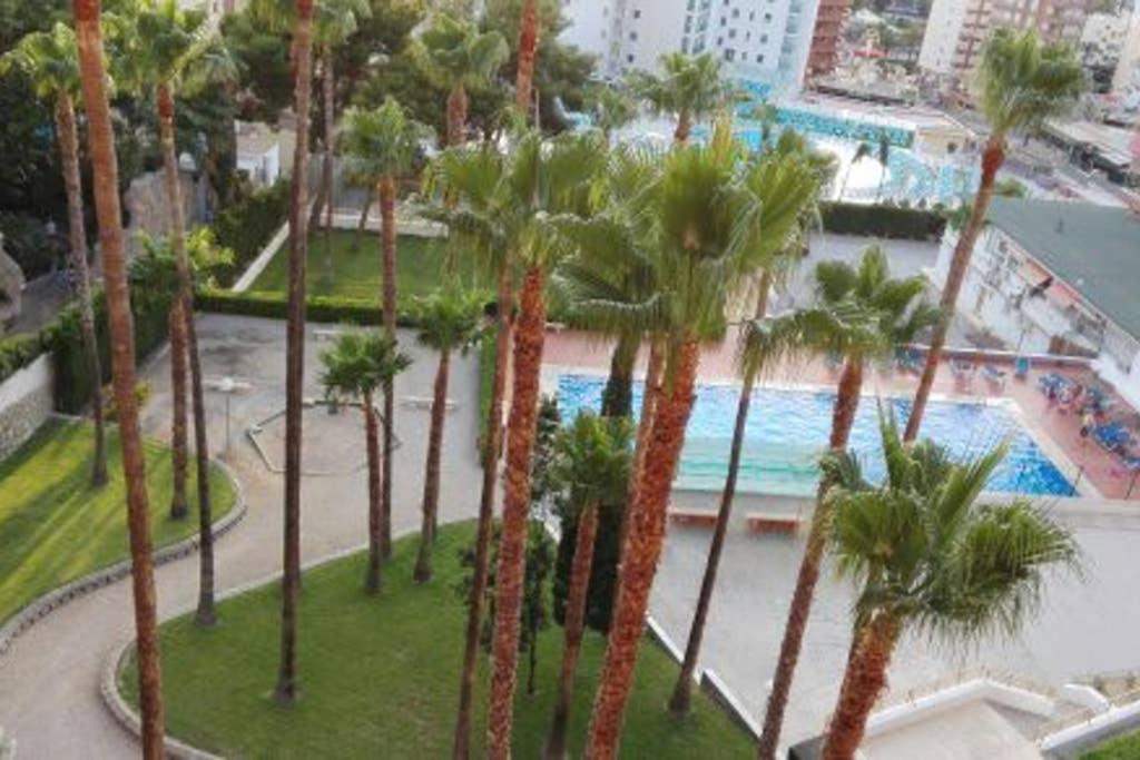 an aerial view of a resort with palm trees and a swimming pool at family apartment near of beach in Benidorm