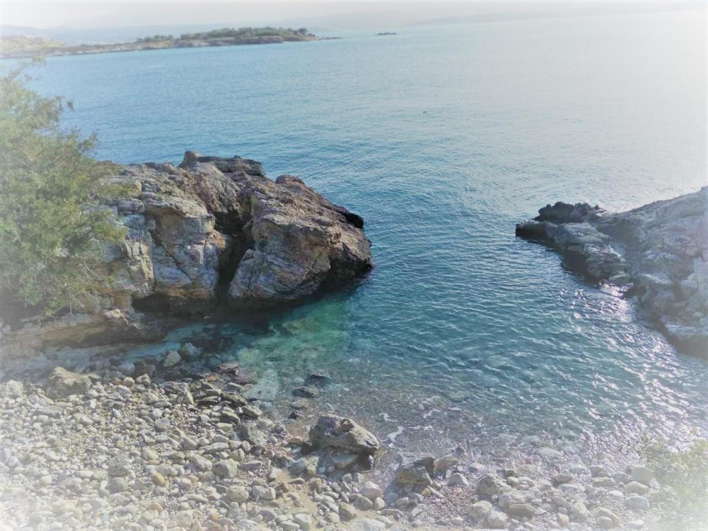 Táj Show holiday homes közelében