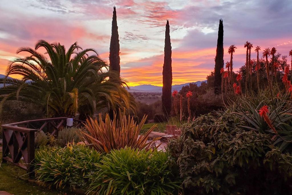 einen Sonnenuntergang in einem Garten mit Palmen und Pflanzen in der Unterkunft Peaceful Ranch Resort and Vineyard View, Pool Access in Solvang
