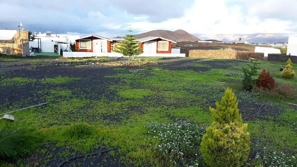Vonkajšia záhrada v ubytovaní Cabañas Volcán Capellania