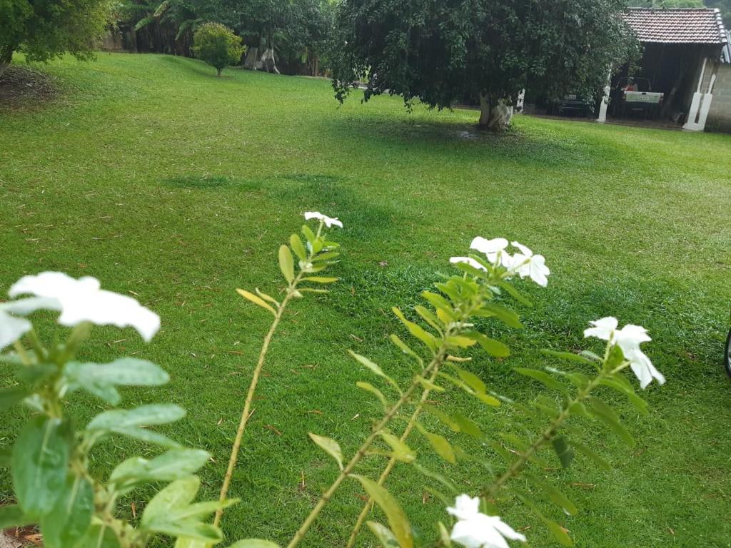  Recanto das Borboletas