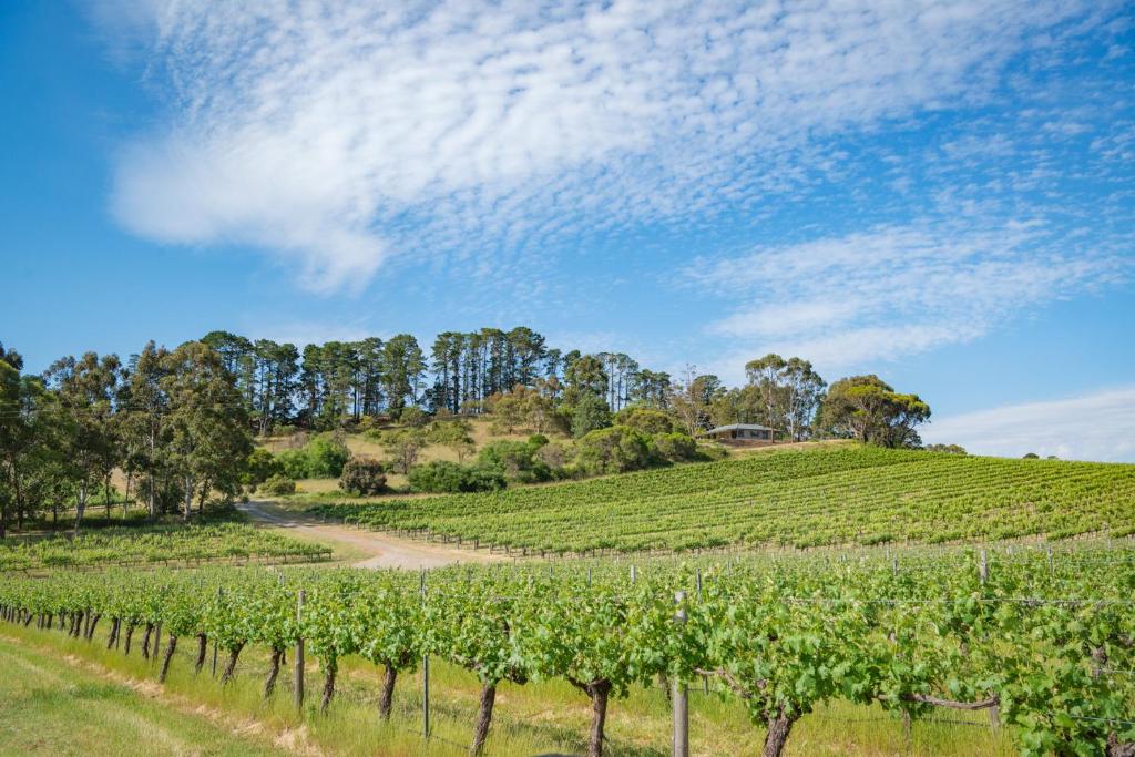 McLaren Vale Getaways, McLaren Flat (updated prices 2024)