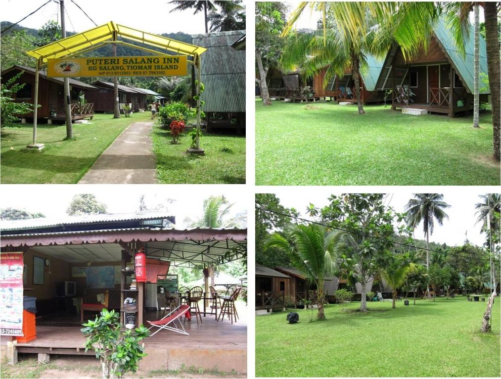 a collage of four pictures of a resort with palm trees at Puteri Salang Inn in Tioman Island