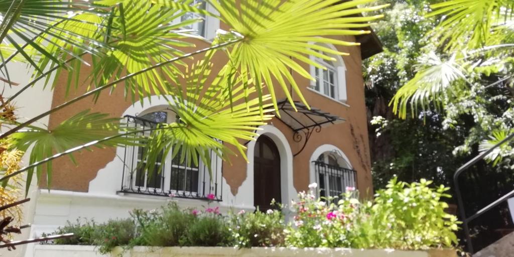 uma casa com uma palmeira em frente em Les Vignes du Château Duras Wifi et Belle vue em Duras