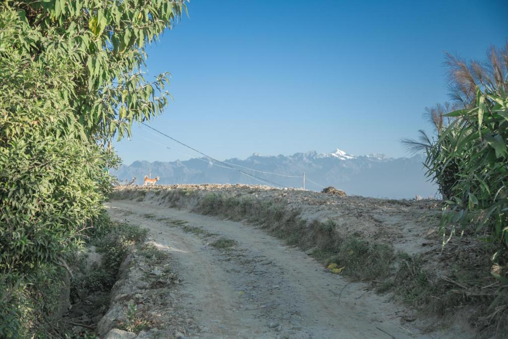 Fotografija v galeriji nastanitve The Lapsi Tree v mestu Nagarkot