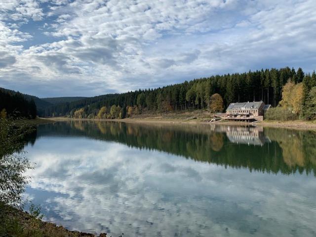 een meer met een huis in het midden bij Holidayhaus Lütsche in Frankenhain