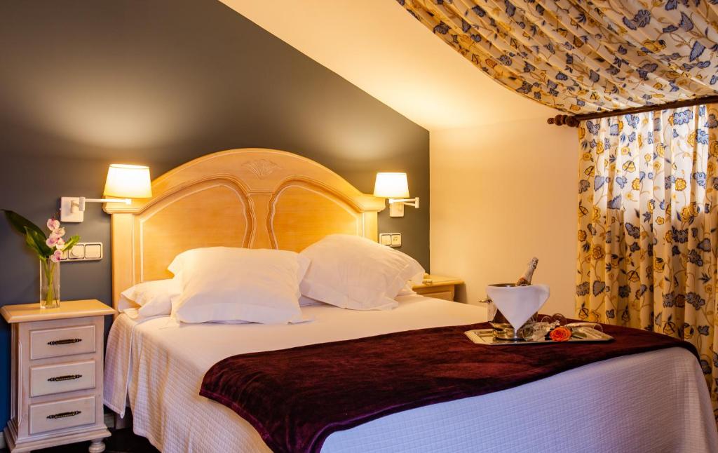 Hotel Palacio De La Viñona - Double Room