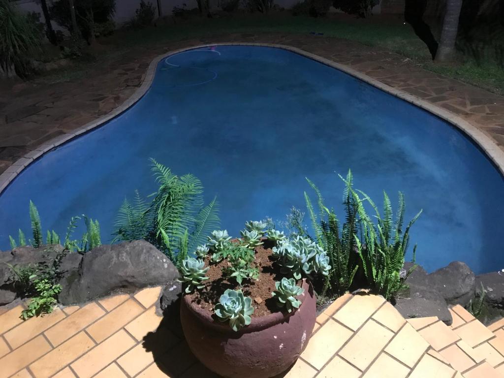 a blue swimming pool with plants in a yard at Kusha Two in Sabie