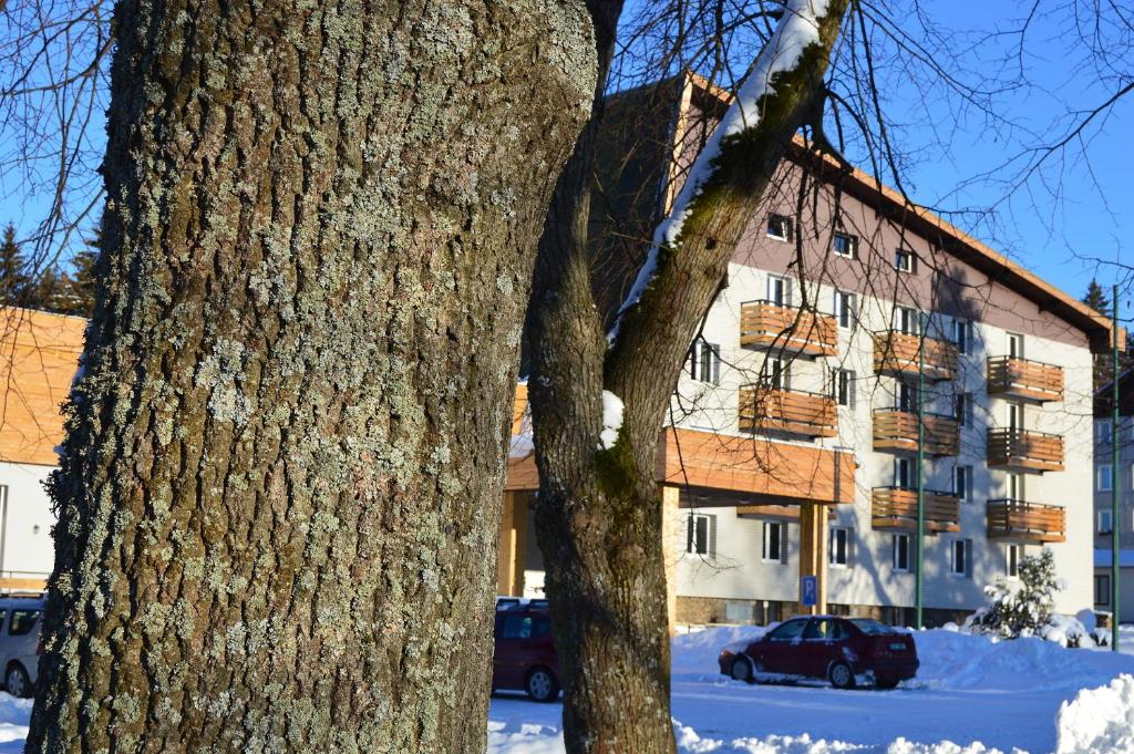 Fotografie z fotogalerie ubytování Hotel Srní depandance - Šumava v Srní