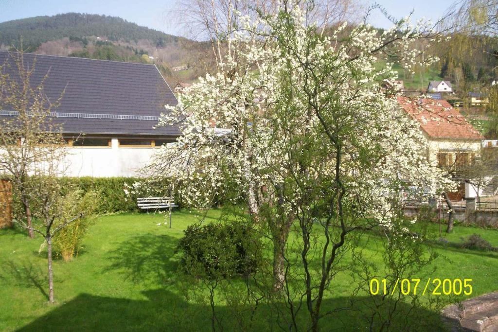 a tree with white flowers on it in a yard at Hotel Restaurant Du Kalblin in Fréland