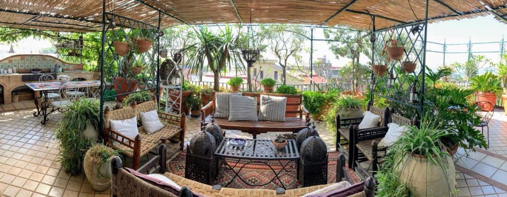Vonkajšia záhrada v ubytovaní Terrazza Pavone