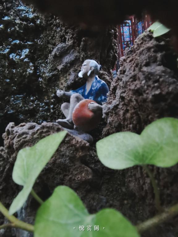 Fotografie z fotogalerie ubytování Beijing Yue Bin Ge Courtyard Hotel v Pekingu