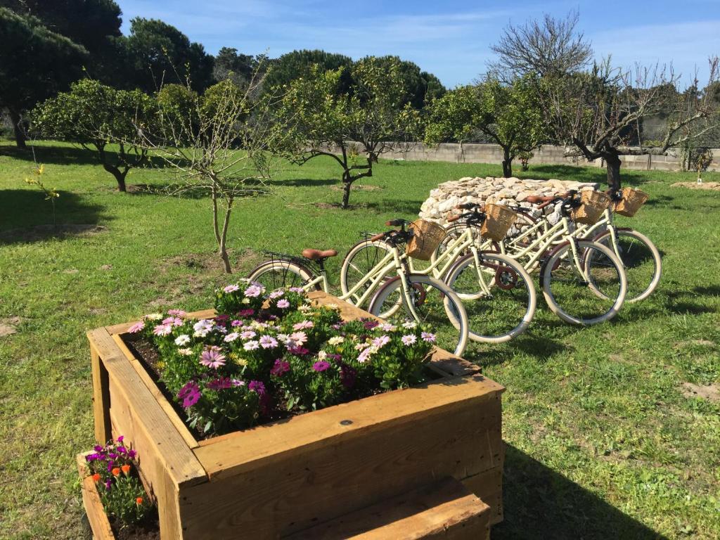 two bikes parked in a wooden box with flowers at Quinta do Meco - Beach & Nature in Aldeia do Meco