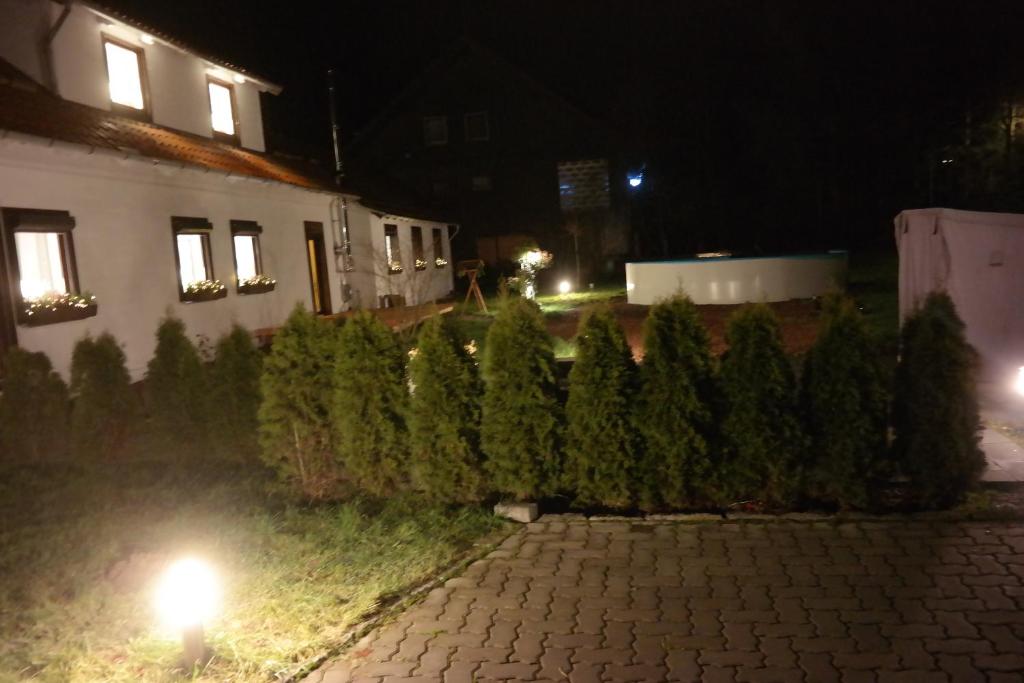 Una fila de árboles delante de una casa por la noche en Ferienwohnung Haus Zeier, en Hahnenklee-Bockswiese