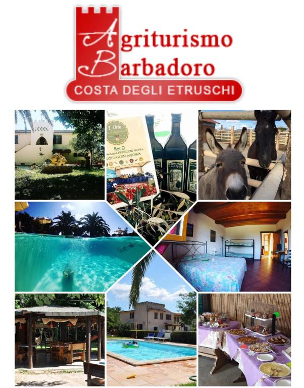kolaż zdjęć ośrodka z basenem w obiekcie Agriturismo Barbadoro w mieście San Vincenzo
