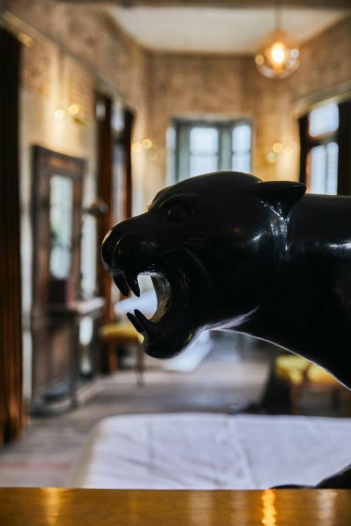 The Mustang Blu - Resim 26