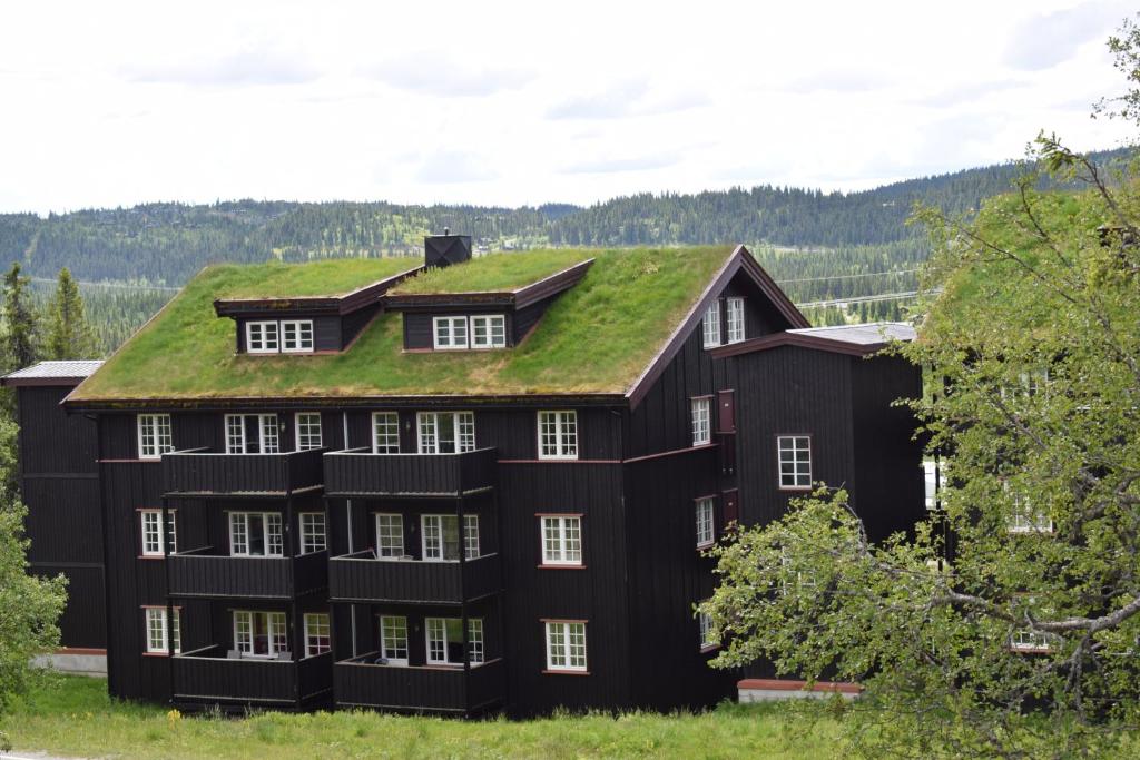 Skeikampen Booking - Maison De Trois Chambres