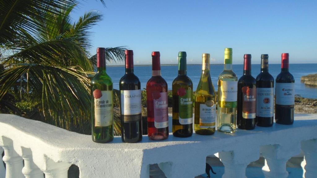 une rangée de bouteilles de vin assises sur un mur dans l'établissement Guesthouse Villa La Isla, à La Romana