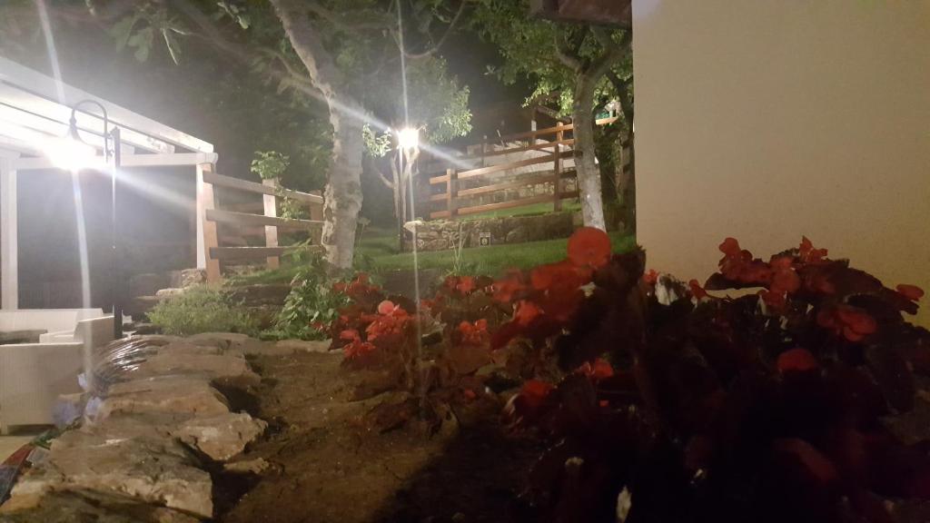 A garden outside Albergo B&B Antica Trattoria Bacco