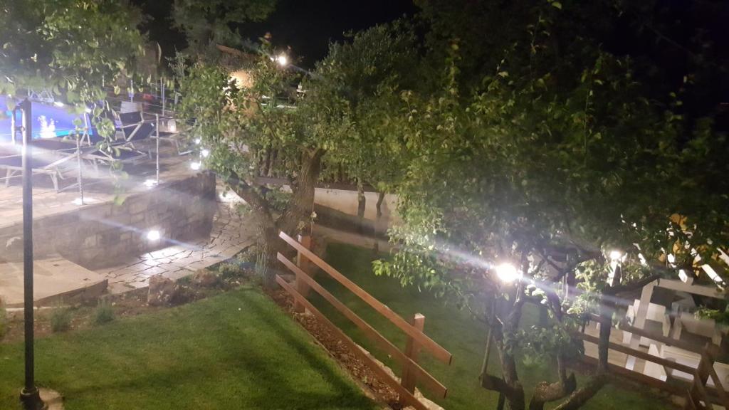 A garden outside Albergo B&B Antica Trattoria Bacco